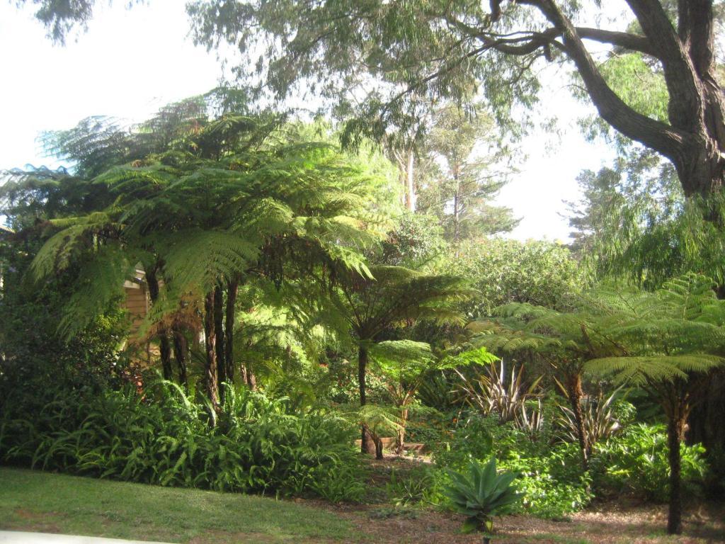 Edge Of The Forest Motel Margaret River Room photo
