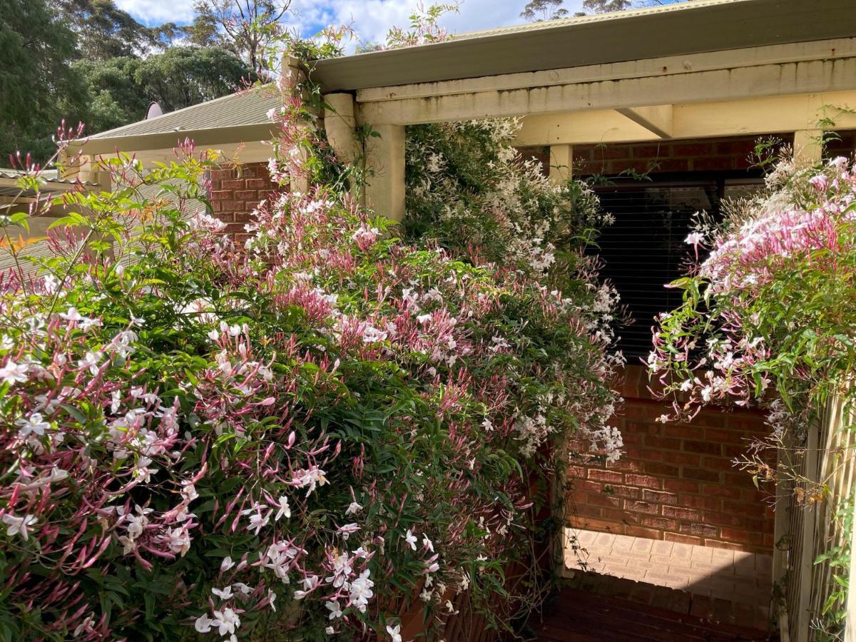 Edge Of The Forest Motel Margaret River Exterior photo